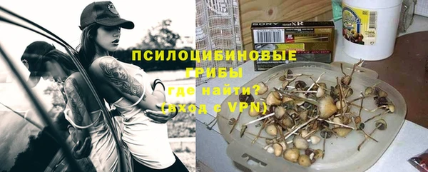 мдпв Арсеньев