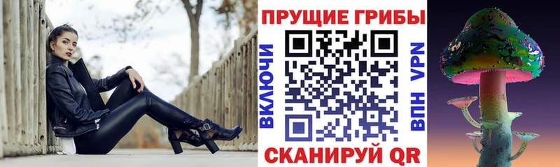 Псилоцибиновые грибы Psilocybine cubensis  Лихославль 